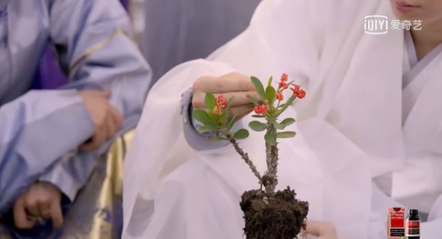 npc|李易峰關(guān)曉彤組隊(duì)冒險(xiǎn)解謎，這檔懸疑推理真人秀，比看劇還上癮