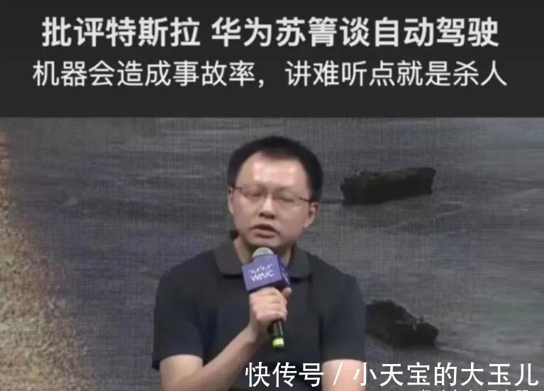 苏箐|那个说“特斯拉杀人”的华为高管,被免职了
