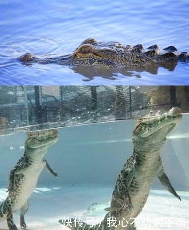 本人|9个冷知识:语文课本里的杜甫画像,其实是画家本人