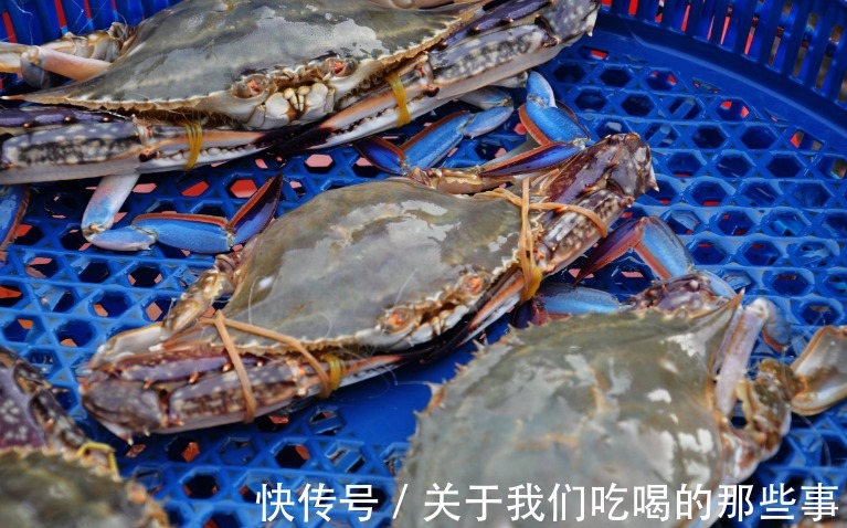 死蟹|挑梭子蟹,个头大未必好,渔民教你4招,个个肉多黄肥,鲜美好吃