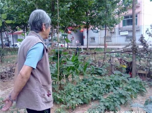 孩子|为啥孩子长大不愿意去姥姥家了？不怪孩子“白眼狼”，原因很真实