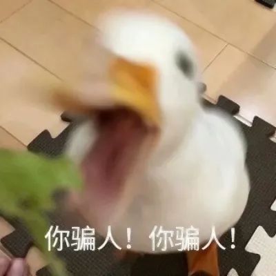 唱跳节目没出道,恋爱综艺里他倒是挺有一套
