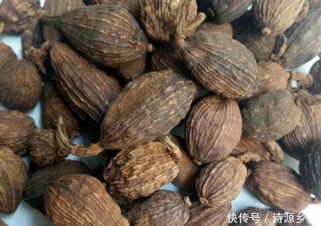 麻辣卤水|了解食材从这里开始，香料大全与用途，美食爱好者首选