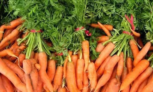 角鲨烯|肝不好不要怕,常吃6种食物,增强肝功能,肝脏或越来越健康