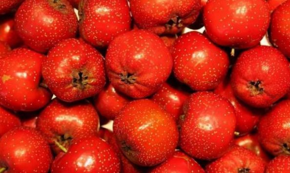 回家过年|新年到福运好运到,3种鸿运果摆在客厅,寓意心想事成