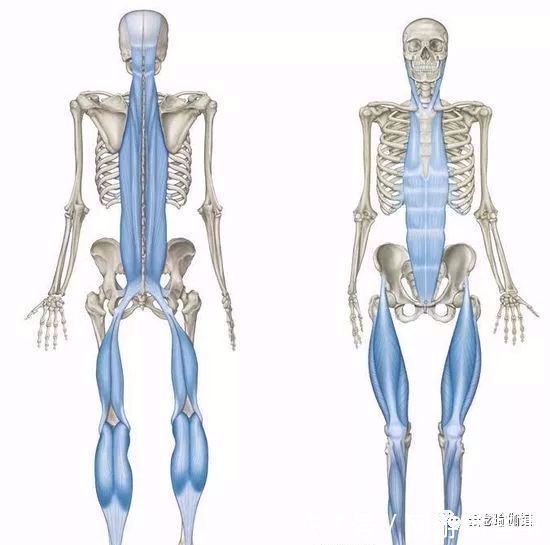 中立位|练瑜伽,头部后仰体式中脖子僵硬不舒服,怎么办?