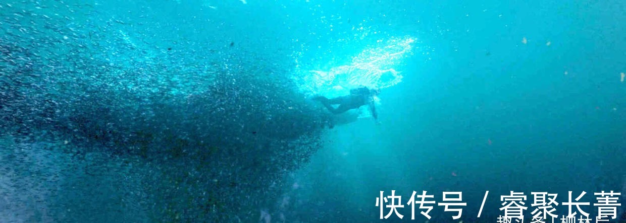 潘粤明|吐槽《云南虫谷》,又一部抗日神剧