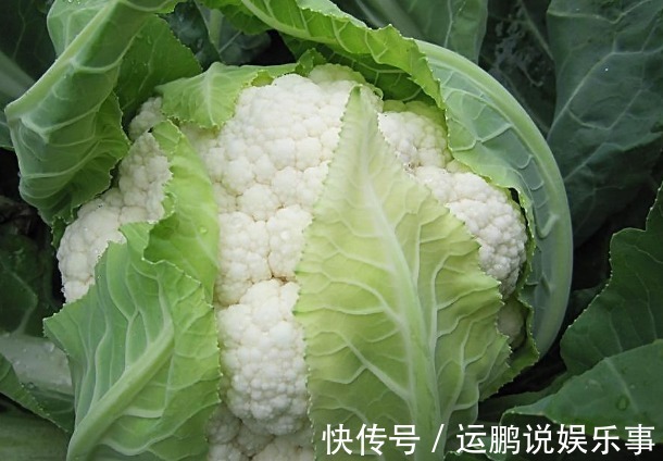 宁愿不吃，也不愿意碰的3种蔬菜，被称为“寄生虫”老窝