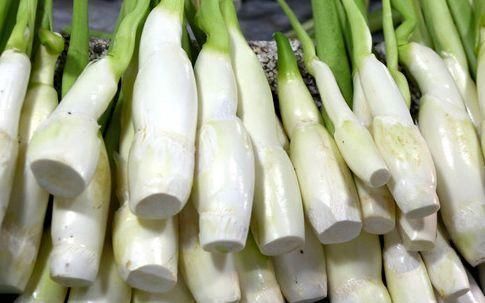 常吃|促进人体健康的食物，男女可常吃，止咳润肺、清热凉血、缓解疲劳