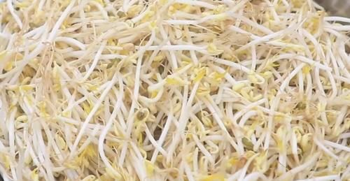 醋溜绿豆芽这样炒，做出来之后，清脆爽口，酸辣适中，全家都爱吃