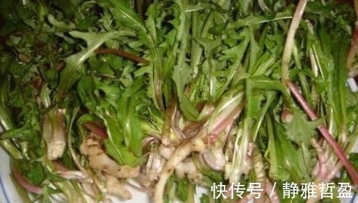 卵巢|女性子宫不好，3种“碱性食物”常吃，杀菌消炎、妇科病不敢找！