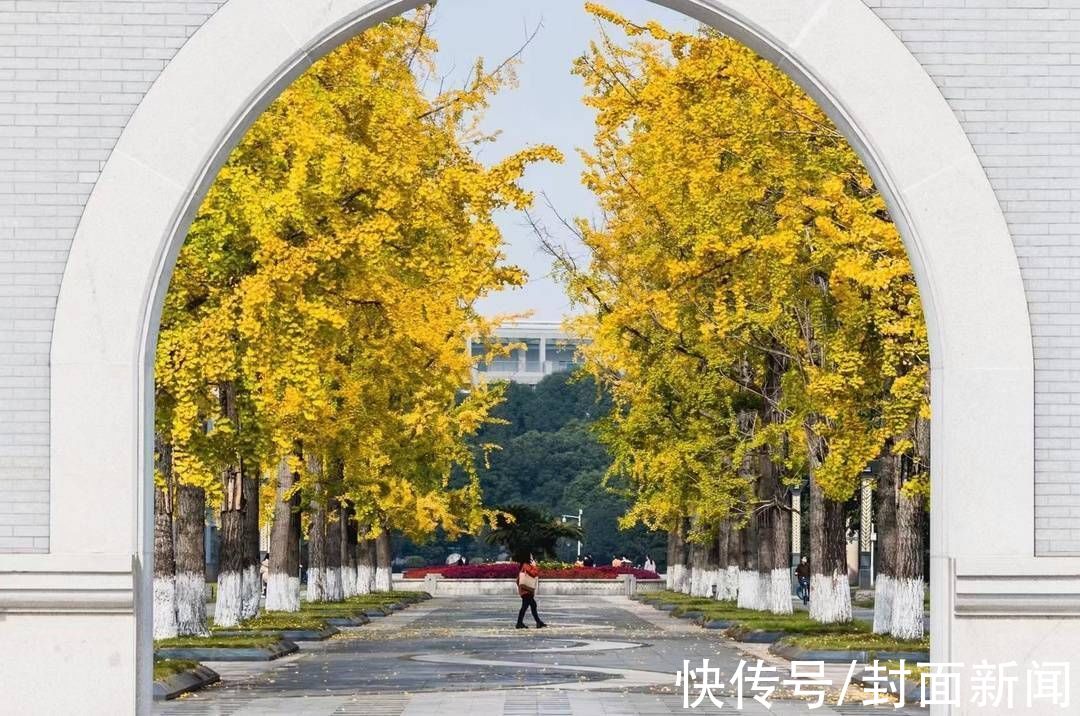 成都信息工程大学|多图警告｜数数川内高校到底承包了多少棵银杏树？