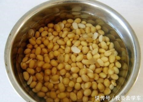 鸭掌木用它养，长得快！方法很简单，只需要盆底埋“12粒”！