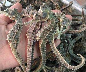 肉类|孕妇要拒绝的5种肉类,寄生虫感染最厉害,再嘴馋也要拒绝