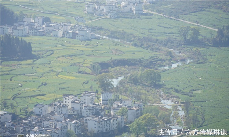 中国四大花海之一！梯田、花海、古树和村落，如此悠闲和美丽