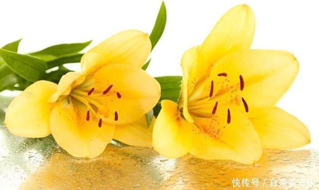 三件|做好这三件事,家庭的幸福不请自来