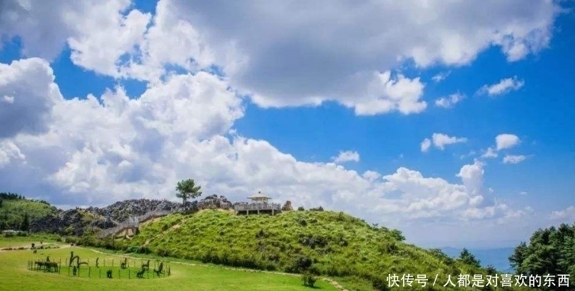 至理名言$俗语:“喂狗别喂饱”,下半句是至理名言,老实人一定要看!