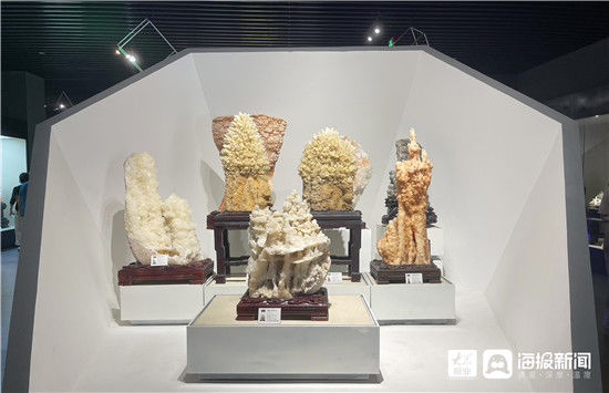 奇石|恐龙、奇石...万余件展品等你来看！淄博傅山自然地质博物馆今日开馆