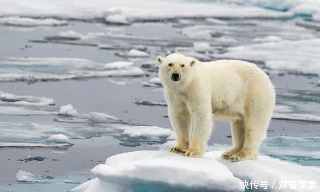 警醒 地球自转加快,一天已经不足24小时,科学家:人类要开始警醒了