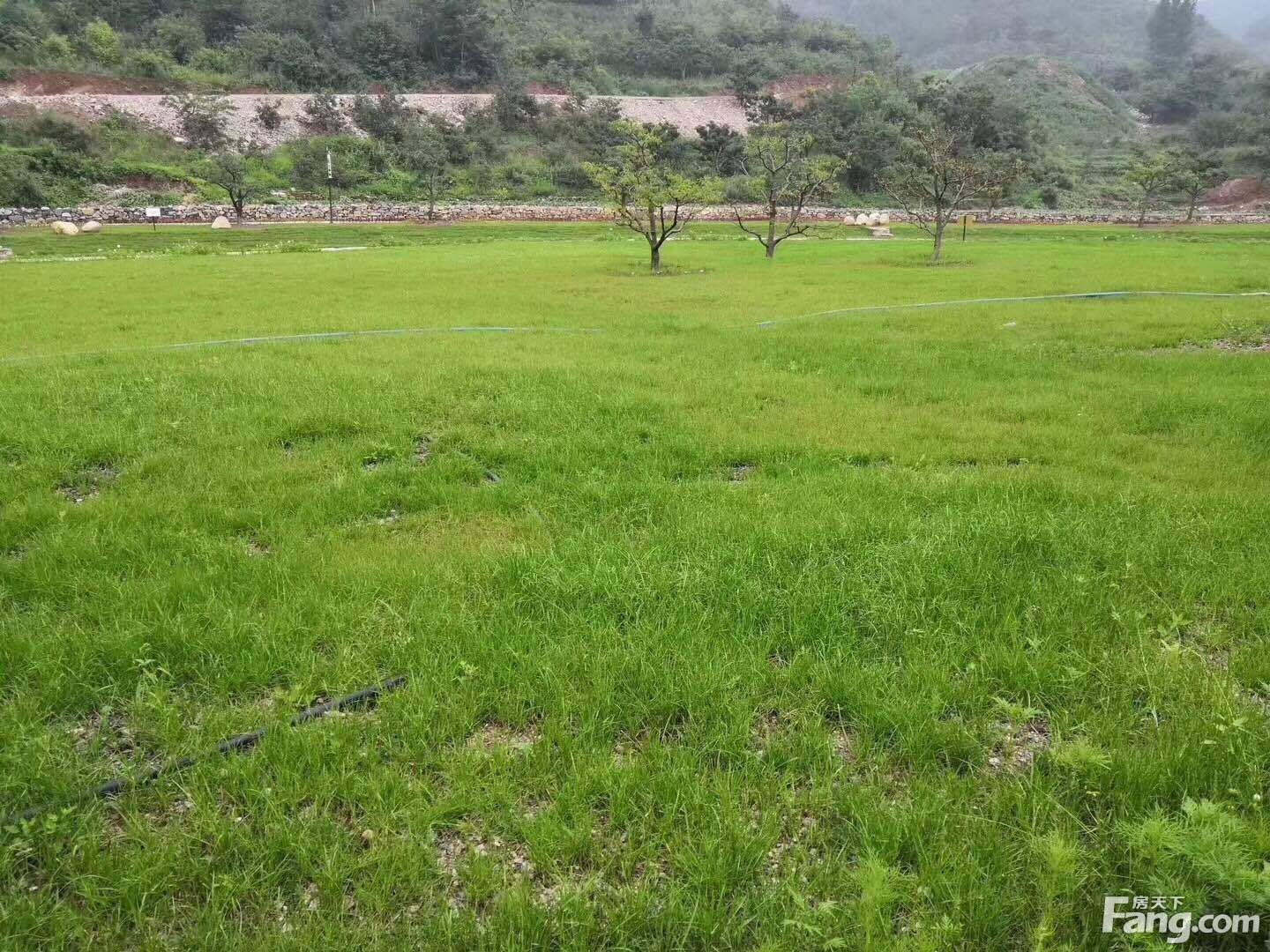 楼盘|想看北京其他楼盘的最新现场实景，选房一定要看