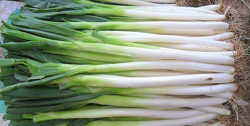 春季适合吃3种食物，排毒养颜，延缓衰老，好处多多