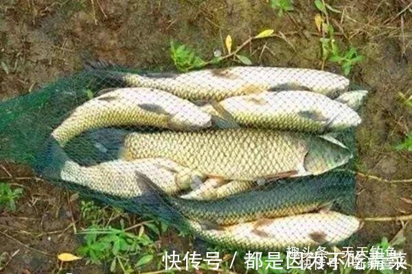 太空豆|滑漂钓法钓组搭配方法,夏季带漂远投钓大鱼,野钓最实用钓法