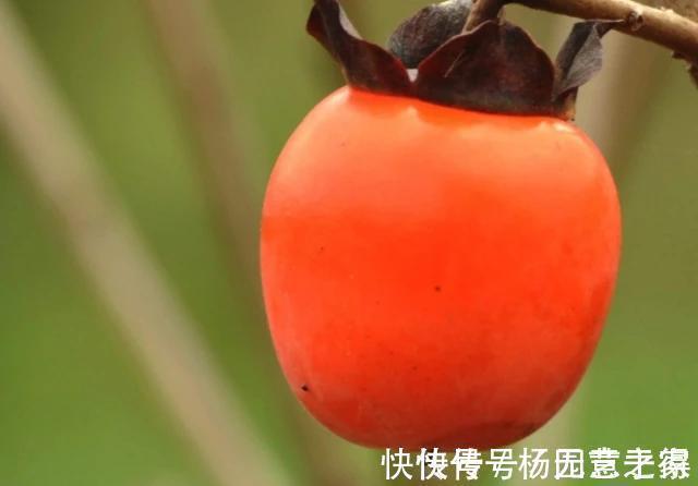 发育|生活中的4种食物,孩子再馋也最好不要买,可能会影响孩子发育