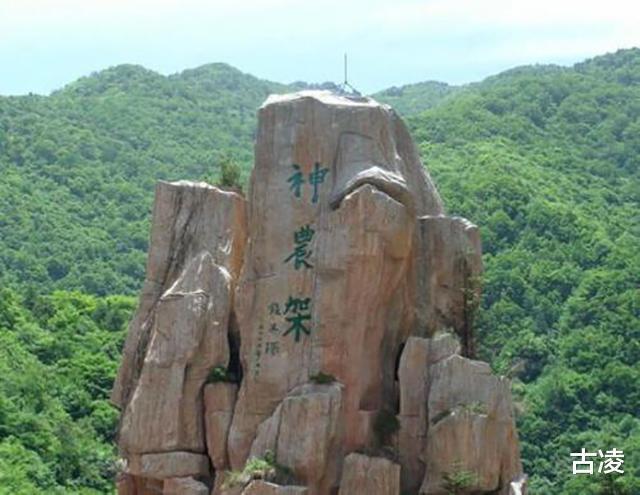 神农架到底有没有野人七八十年代,中国3次考察验证其真实性