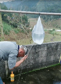 |搞笑GIF:为了宝宝健康的成长,这也是花费很大