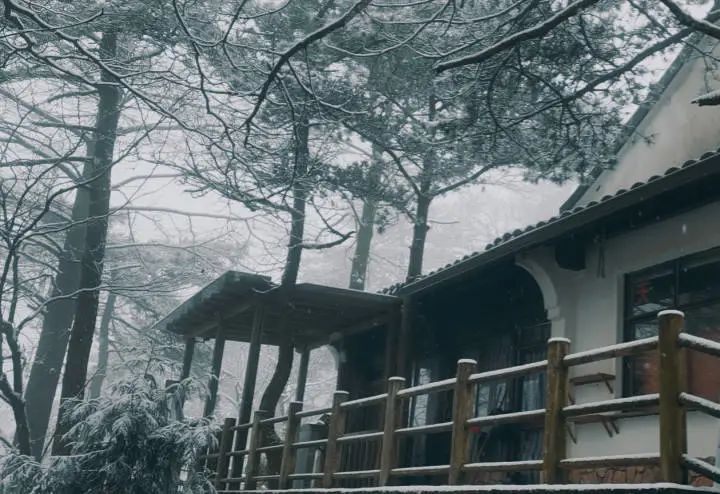 天目山景区|美如仙境！杭州、宁波下雪了，朋友圈看雪走起~