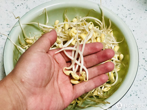 天冷就馋这道菜，人称“如意菜”，价格便宜寓意好，一盘才2元钱