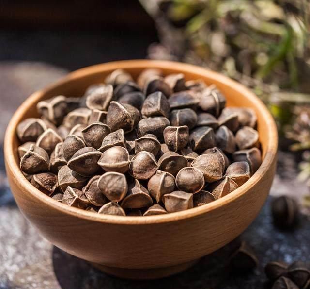 黑枣|肾透支了 这几种食物, 是肾脏的“发动机”, 让你越吃越有劲!