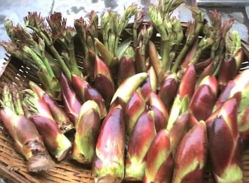 女人爱美常吃3种食物，补充营养，健胃消食，清理肠胃垃圾