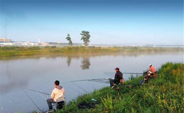 早春鱼情“乱”,野钓大鲫鱼,注意五要五不要,换个思路渔获更多