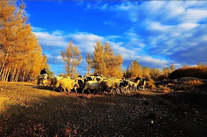 坚守&【战疫情】原创诗歌《童话》《 坚守》《 勤务》