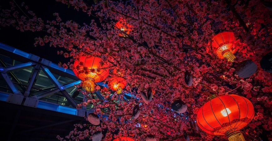 流浪汉|老汉救下一流浪汉,流浪汉对其透露正月十五那天一定要挂红灯笼!