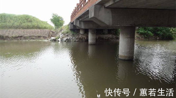 夏季|三伏天野钓,鱼喜欢扎堆在这些地方,钓点选这些位置,一钓一个准
