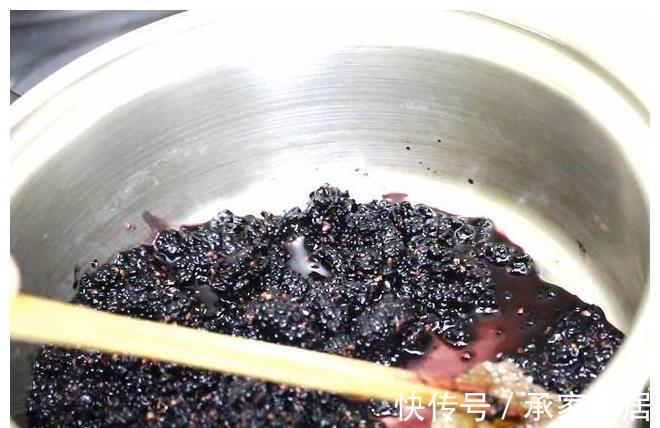 桑树|桑葚熟了,教你做好吃的桑葚酱,放1年不变质,学会做给家人吃