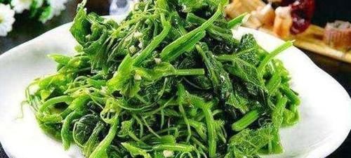 秋天养生,不妨多吃3种食物,排毒美容,清热解毒,帮助减肥