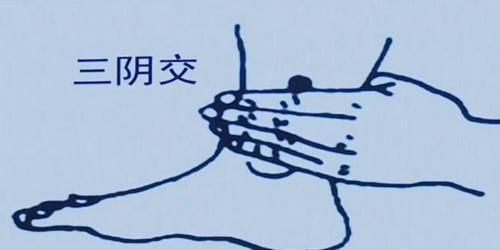 三阴交穴|男女各有一个“长寿穴”补肝补气血,祛湿又助眠有空就按按