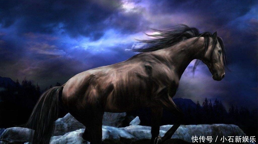 主人|它们同样完成使命,龙犬娶到公主,它却被主人射杀,只剩一张皮!