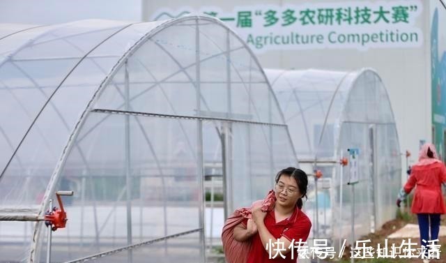 尹志尧|中国的鸡该回中国下蛋！任正非一语成箴，人才归国潮爆发！