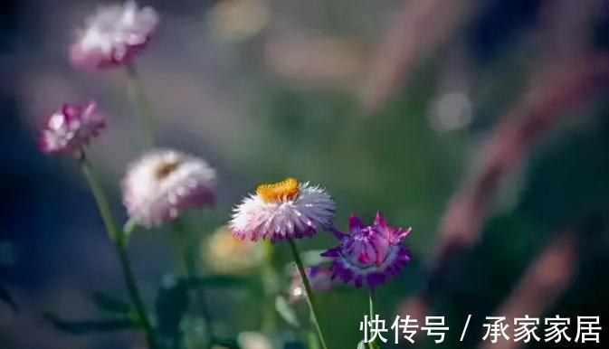 兼职|60岁丁克阿姨被问将来谁给养老?老人坦言:谁的晚年不是风雨飘摇