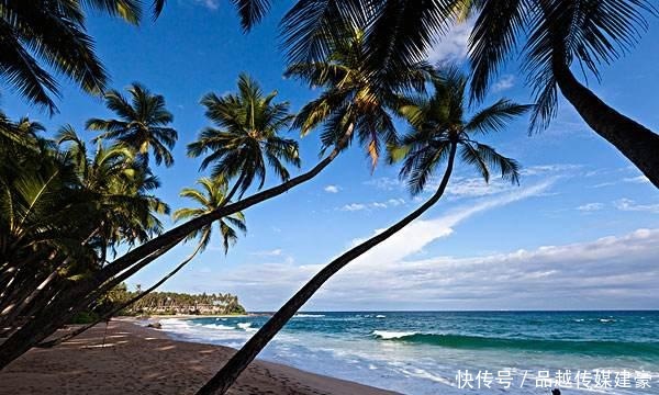 英国殖民下的斯里兰卡,没了坎底的护持,佛教还能复兴吗?100