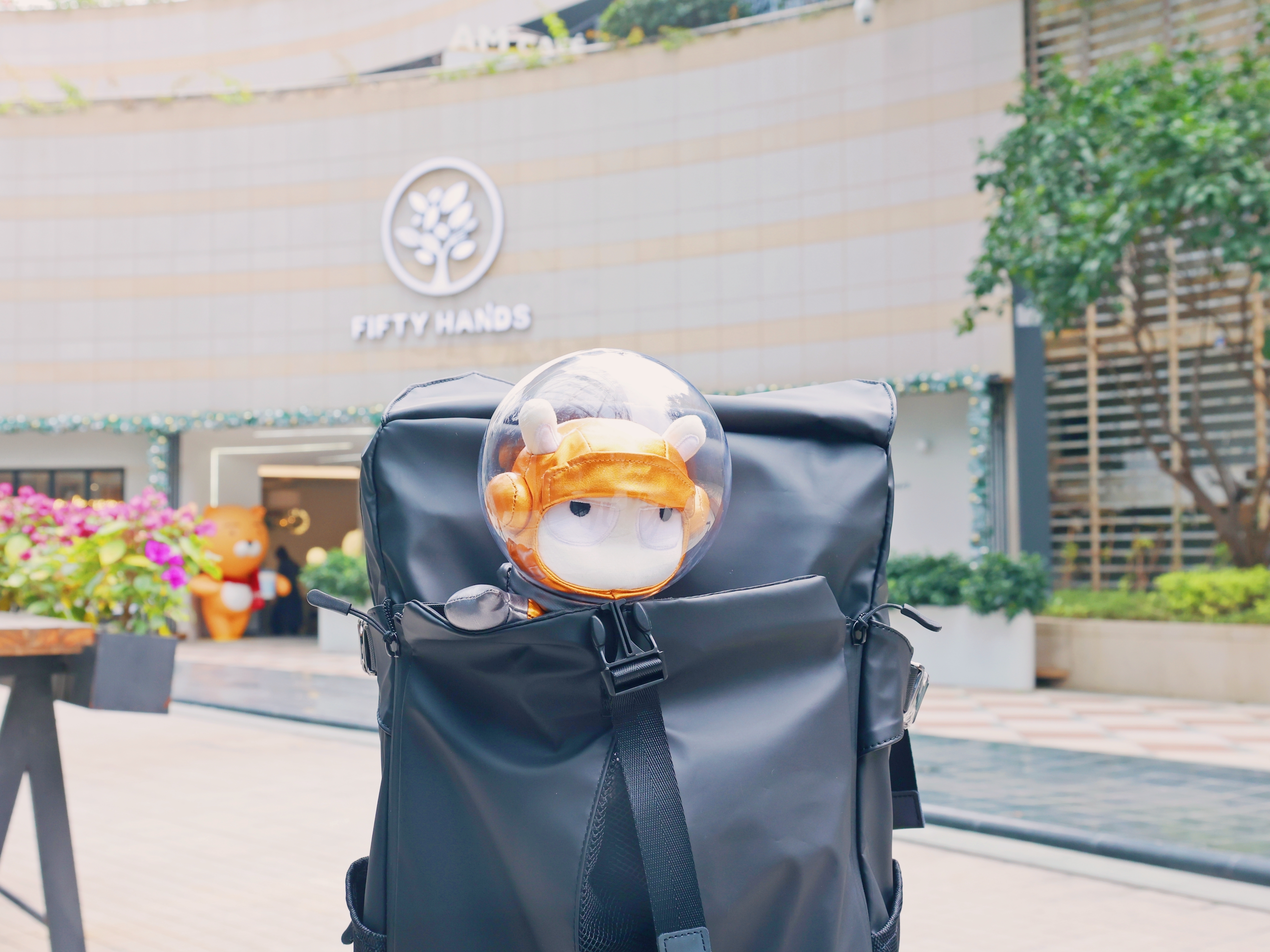 行星 告别2021,光影行星宙斯双肩包体验,2022我将背上它展开全新冒险