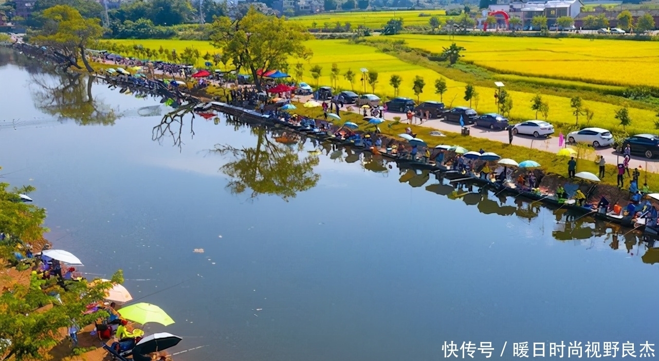 饵料|不注意这3个方面,在流水水域钓鱼你就等着空军吧!——盛世三渔