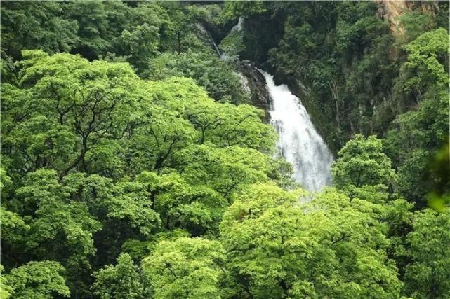 这是令人心驰神往的高黎贡山