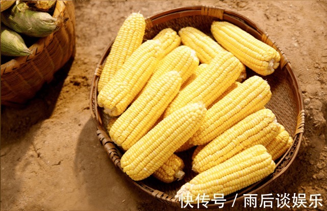 不溶性粗纤维|减肥时要“戒掉”主食？建议：多吃这4种主食，反而更容易瘦下来