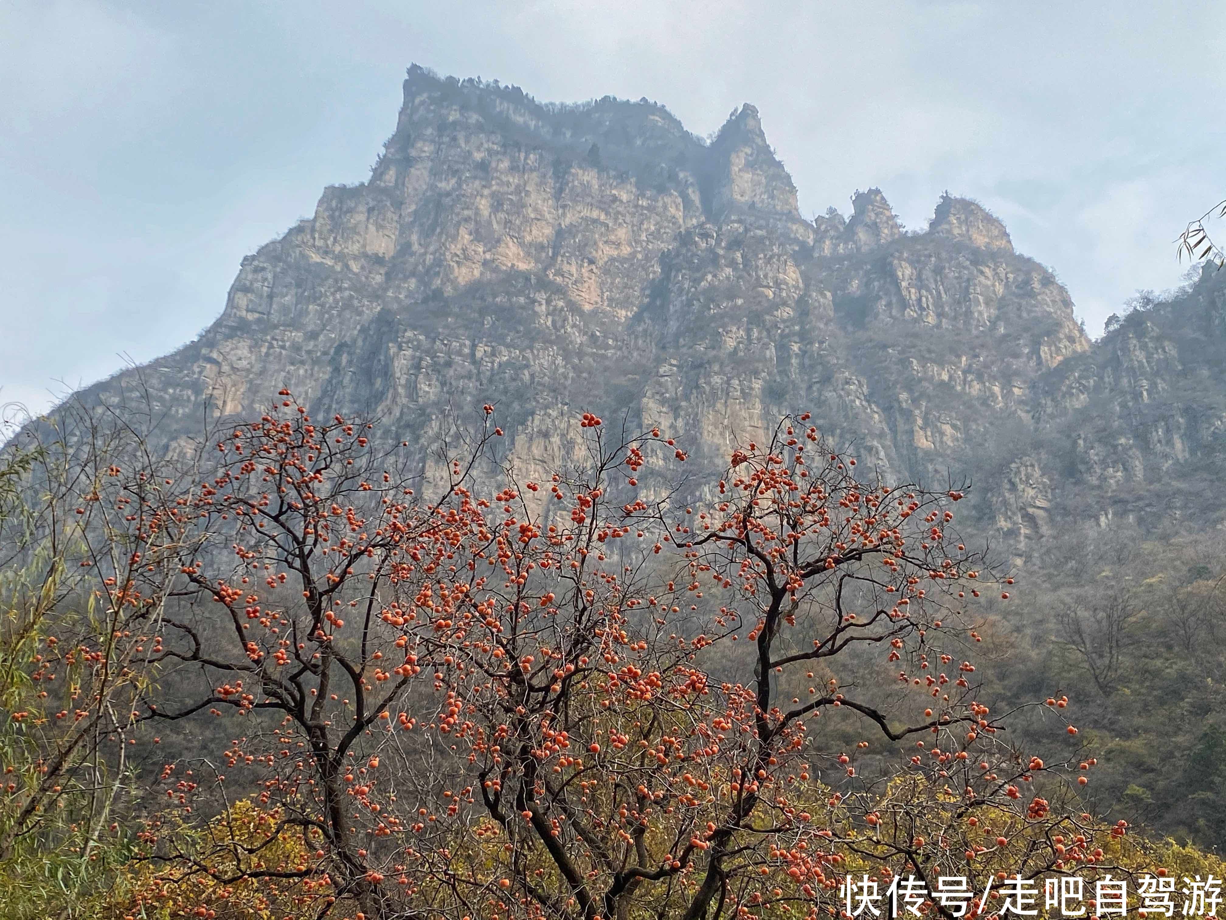 瀑峡|初冬，我在云台山潭瀑峡凝听飞瀑流泉的天籁之音