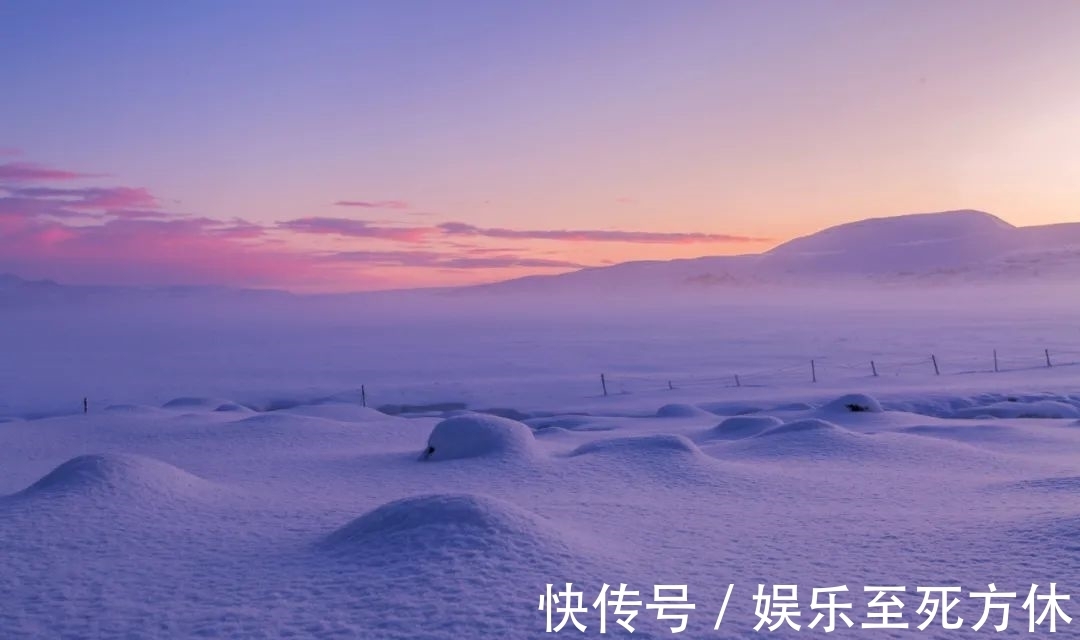 梅花#不知不觉,冬已深